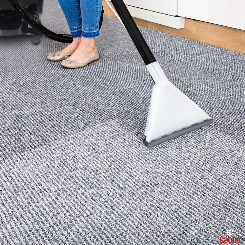 Aspirateur eau et poussières WD2 Plus Extra – Image 3